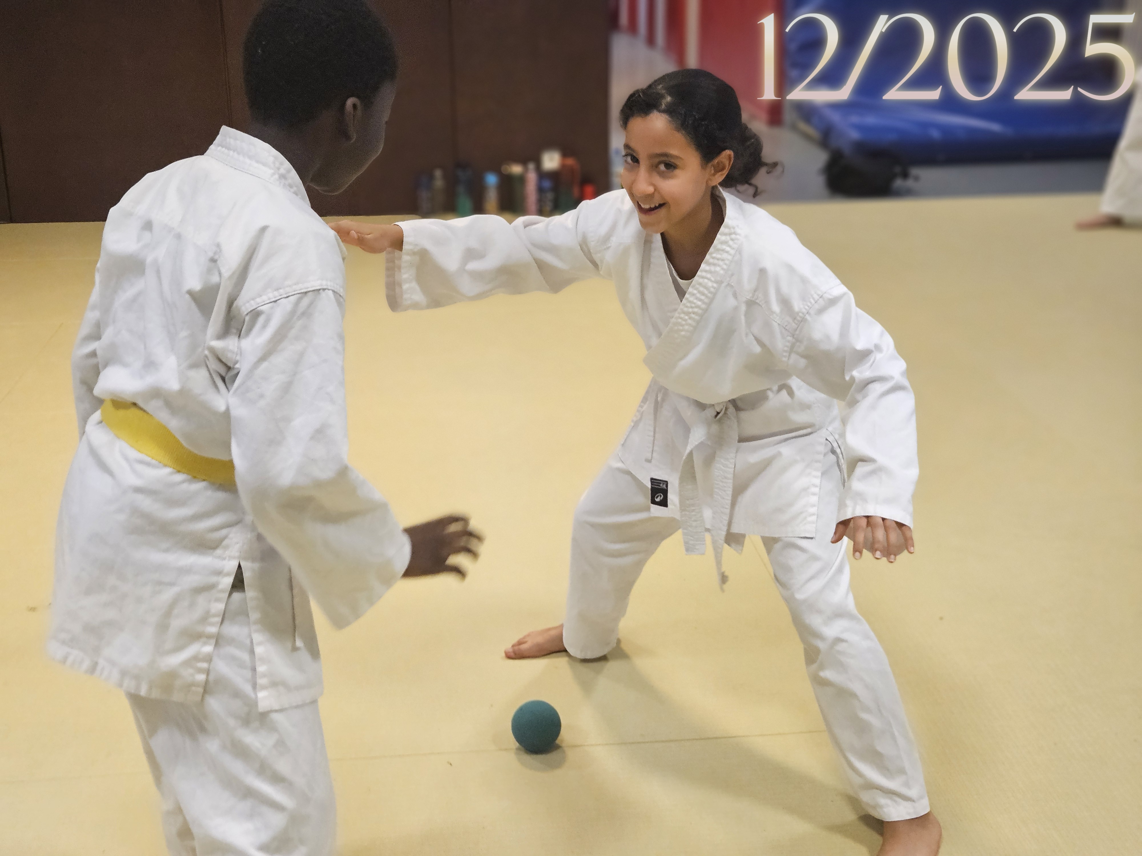 Noêl karate montreuil 54